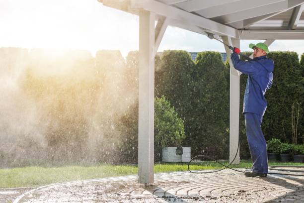 Best Solar Panel Cleaning  in River Rouge, MI